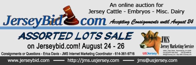 Jersey Bid Banner