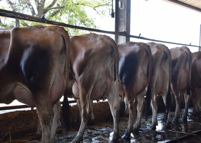 lots-120-118-121-119-116