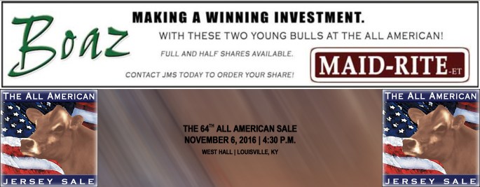 Two Bulls being syndicated in the All American Jersey Sale on November 6, 2016. Click on banner for AA Catalog featuring MAID-RITE and BOAZ
