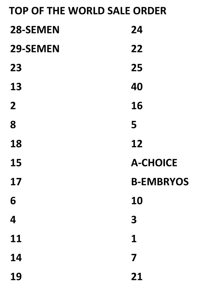 TOP OF THE WORLD JERSEY SALE ORDER