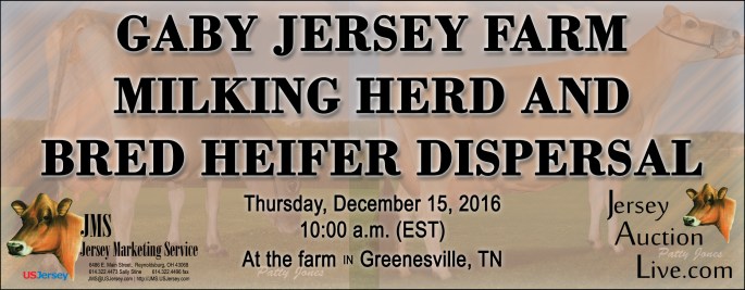 Click on Banner for more information about the sale, including a catalog link