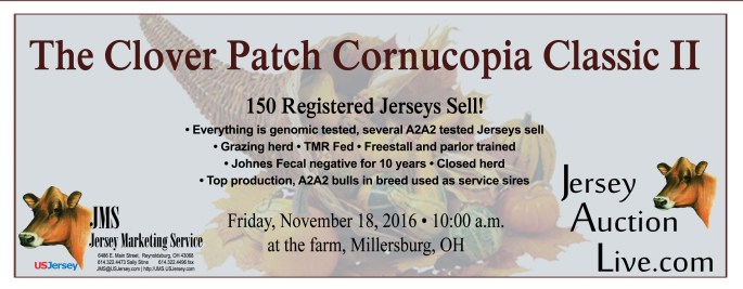 Click on Banner for Catalog