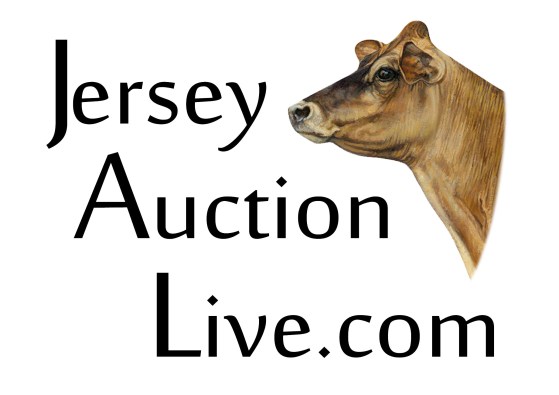 Jersey Auction Live-2019