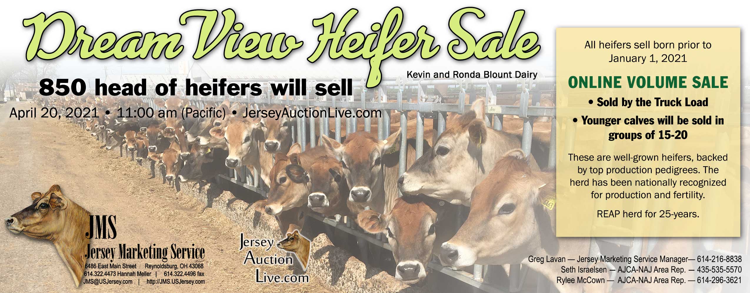 Blount-Heifer-Sale